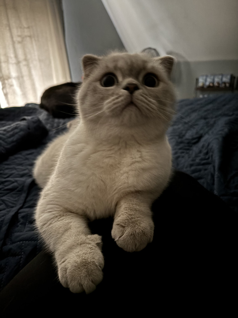 31 Bestselling Amazon Home Products That Deserve The Spotlight In 2023, image size:810x1080