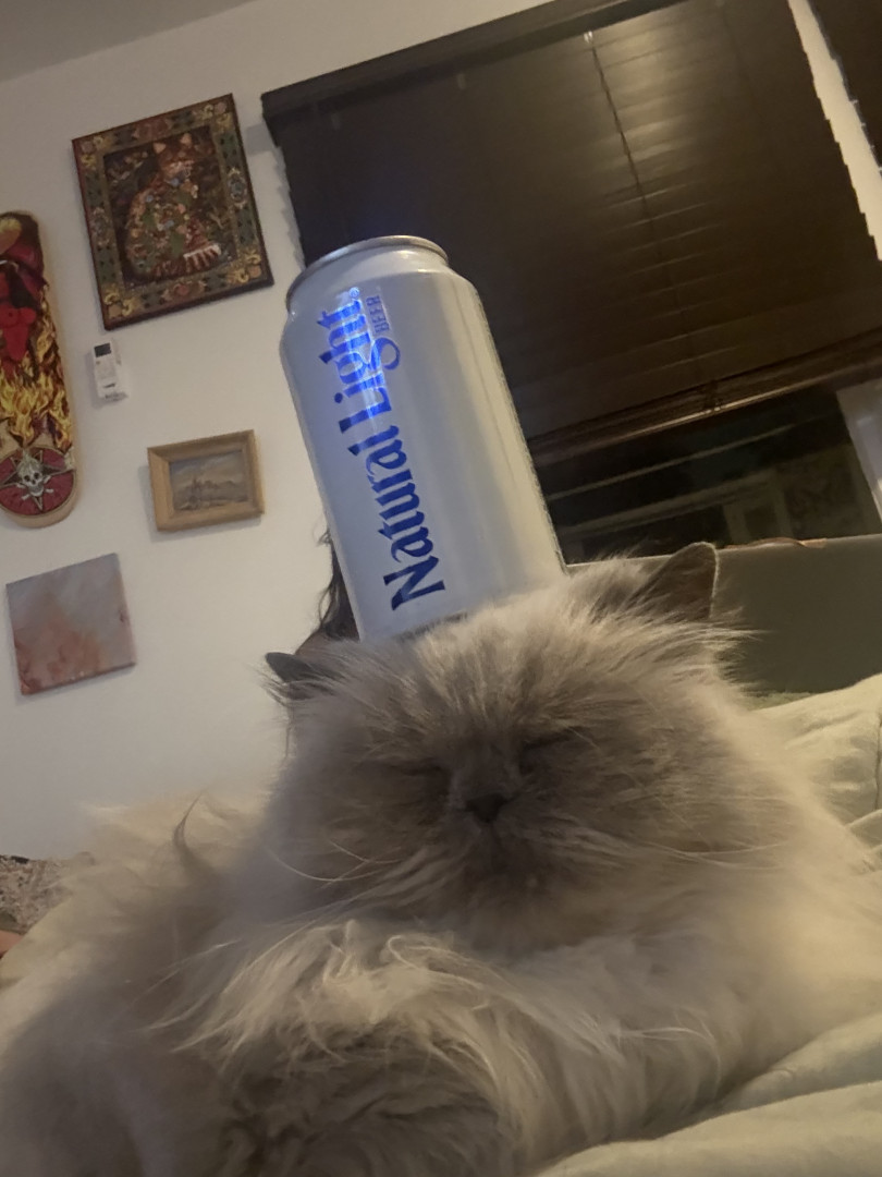 Vote Brother in Cutest Cat Contest - Win Prizes, image size:810x1080